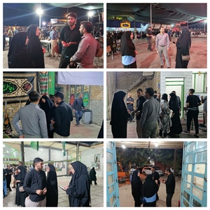 بازدید ریاست شبکه بهداشت و درمان از مواکب فعال در سطح شهر